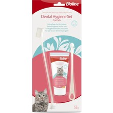 1001 Aromalı Kedi Ağız Bakım Seti