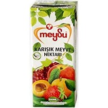 1001 %100 Karışık Meyve Suyu 200 ml