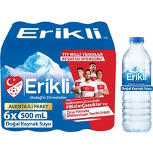 1001 Kaynak Suyu Pet Şişe 12X500 ml