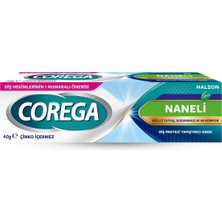 1001 Protez Yapıştırıcı Krem 40 G