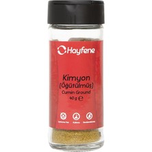 1001 Kimyon Toz 40 gr