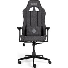 1001 Gaming Chair Fab V5 Oyuncu Koltuğu