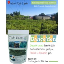 1001 Nane | Ingiliz Nanesi | Mentha x Piperita | 50GR