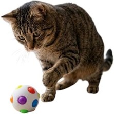 1001 Disco Fever Darbeye Duyarlı Işıklı Kedi Topu 6 cm Zıplayan Hareketli Kedi Oyuncağı