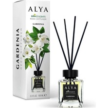1001 Scents Gardenia Bambu Çubuklu Oda Kokusu- Gardenya Kokusu