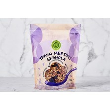 1001 & Yulaf Granola Yabanmersinli
