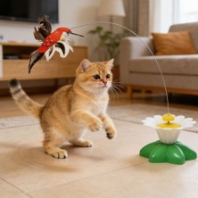 1001 Dönen Kuş Kedi Oyuncağı (Pille Çalışır)