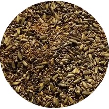Özel Kızıştırıcı ve Kondisyon Tohum Karışımı