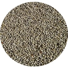 Japon Darısı ( 1. Kalite )
