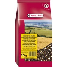 Versele-Laga Versele Laga Çimlendirme Tohumu