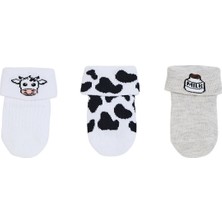 TeknoKapsül Ebebek Hello Baby Hellobaby Erkek Bebek 3lü Kıvrık Çorap Hayvan Baskılı