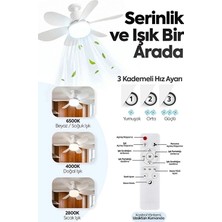 Esranın Dünyası 6 Kanatlı 3 Kademeli LED Aydınlatmalı Uzaktan Kumandalı Tavan Vantilatörü