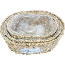 Lovesta Home Oval Doğal Hasır Saksı Seti - 3'lü