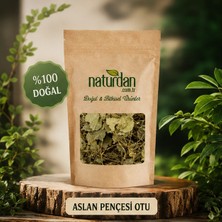 Naturdan Aslan Pençesi - 50 gr