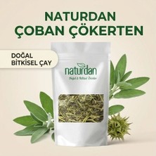 Naturdan Çoban Çökerten (Demir Dikeni) - 5 kg