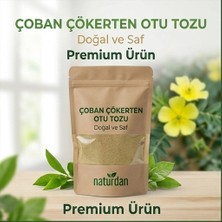 Naturdan Çoban Çökerten Otu Öğütülmüş Toz (Demir Dikeni) - 50 gr