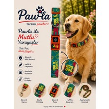 Pawlook Köpek Boyun Tasması,recycled , Köpek Tasması, Boyun Tasması,