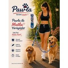 Pawlook Köpek Boyun Tasması, Boyun Tasması,köpek Boyun Tasması