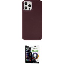 Marsilyan™- iPhone 12 Pro Max Kılıf Çekirdek Çizgi - Şeffaf Temperli Cam Ekran Koruyucu