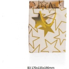 Gıpta BG3341 B3 Lumos Karton Çanta