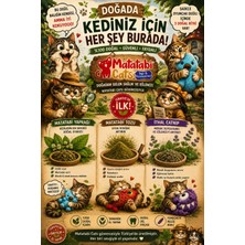 Matatabi Cats Matamıx (Matatabi Yaprağı,matatabi Tozu,premium Catnip/kedi Nanesi)