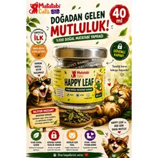 Matatabi Cats Happy Leaf %100 Doğal Matatabi Yaprağı 40 ml (Kedi Nanesi/catnip Değildir)