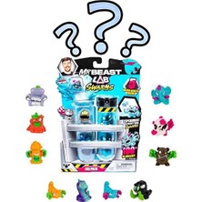 Mr. Beast Lab Mr. Beast 5'li Tüp S1-24708