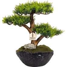 Omnia Calipso Bonsai CLPSBNS001