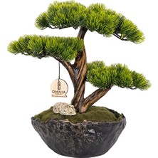 Omnia Calipso Bonsai CLPSBNS003