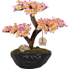 Omnia Bonsai-2 CLPSBNS002