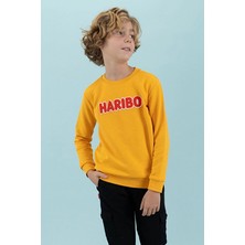 Haribo Erkek Çocuk Sweatshirt HRBTXT308-HRDL