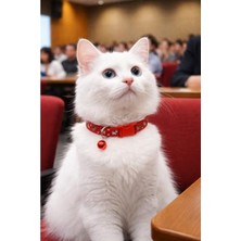 Die Grup Zilli ve Ayarlanabilir Kedi Boyun Tasması, Kırmızı