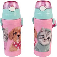 Dolphin PT-ALM-500 Studıo Pets Alüminyum Matara
