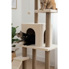 Die Grup Bej Renkli Kedi Tırmalama Evi, Oyun Alanı ve Eğlenceli Tasarım