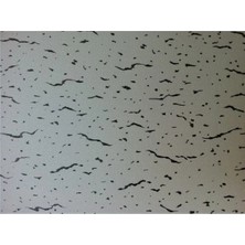 Favori Karopan 7 mm 60X60 Kırçıllı