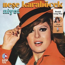 İz Müzik Iz Müzik Neşe Karaböcek Niyet Plak
