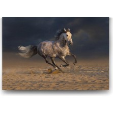 Mey İthalat Kırçıllı At Tablosu - 45X30CM