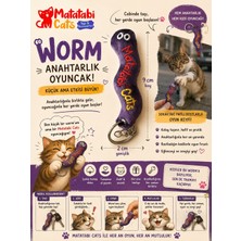 Matatabi Cats Matamix Içerikli Oyuncak Worm Anahtarlık