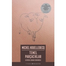 İthaki Yayınları Temel Parçacıklar