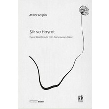 Pikaresk Yayınevi Şiir ve Hayret