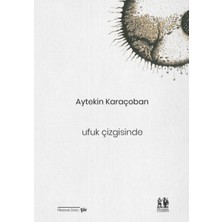 Pikaresk Yayınevi Ufuk Çizgisinde