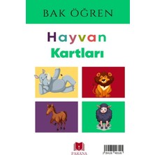 Parana Yayınları Hayvanlar - Bak Öğren Kartları - Ilk Bilgilerim