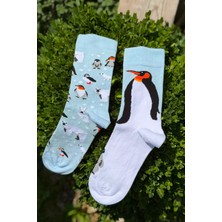 Lou Socks Unisex Sağlı Sollu Penguen Desenli Mavi Soket Çorap