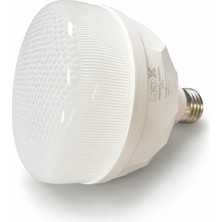Uzman Dörtler - Ledx 40W Torch Kristal Ampul 6500K Beyaz