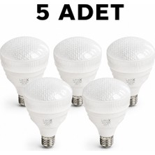 Uzman Dörtler - Ledx 50W Torch Kristal Ampul 6500K Beyaz 5 Adet