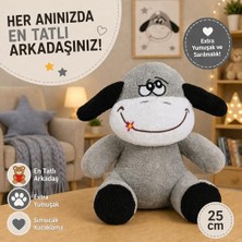 Büyük Pazar Store Özgüner Oyuncak Ofis Hediyesi 20-25 cm Figürlü Pelüş Ayıcık, 20 cm Teddy Bear,sevgiliye Hediye,ayı Teddy,peluş Ayıcık,plush Toys,ofis Hediyesi (Eşek)