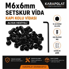 Karapolat M6X6MM Setskur Vida 50 Adet Kapı Kolu Vidası Alyan Hediyeli