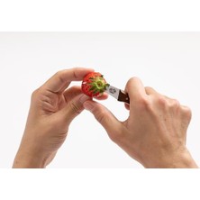 5.3100 Dekor Bıçağı