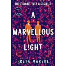 A Marvellous Light: A Dazzling, Queer Romantic Fantasy