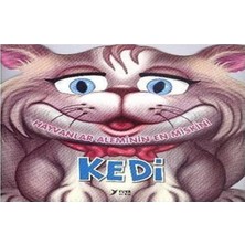 Hayvanlar Aleminin En Miskini Kedi